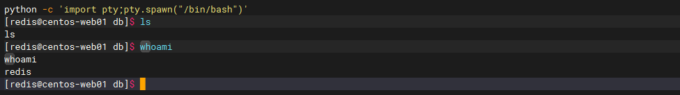 image-20251106104753820