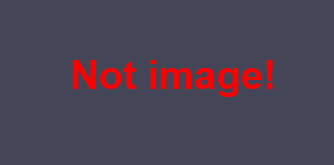 image-20241111183232544