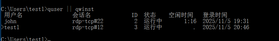 image-20251105204818354