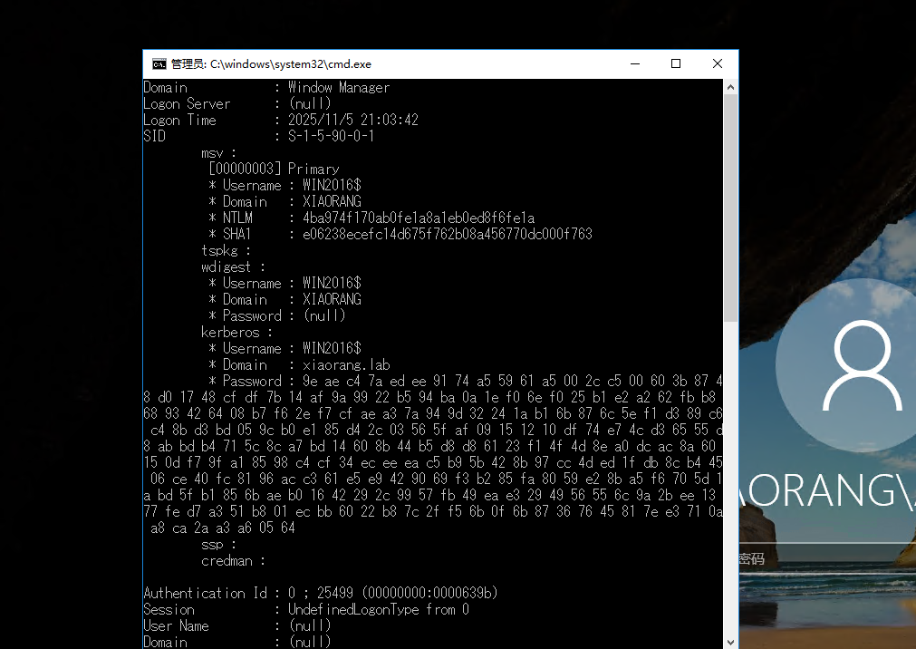 image-20251105221340485
