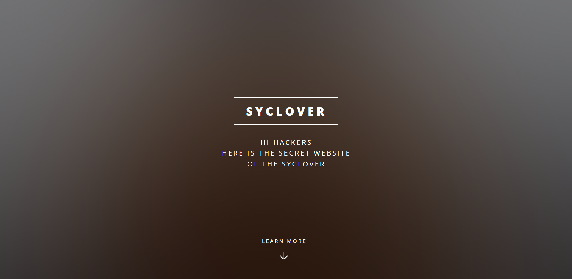 image-20241111144846929