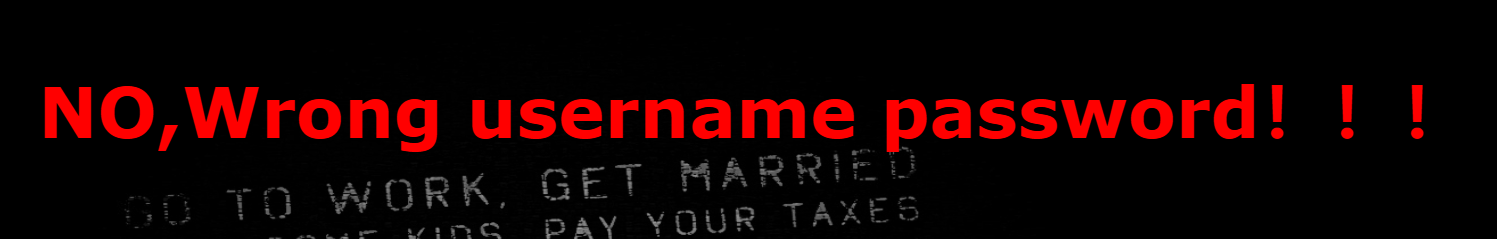 image-20241111154205265