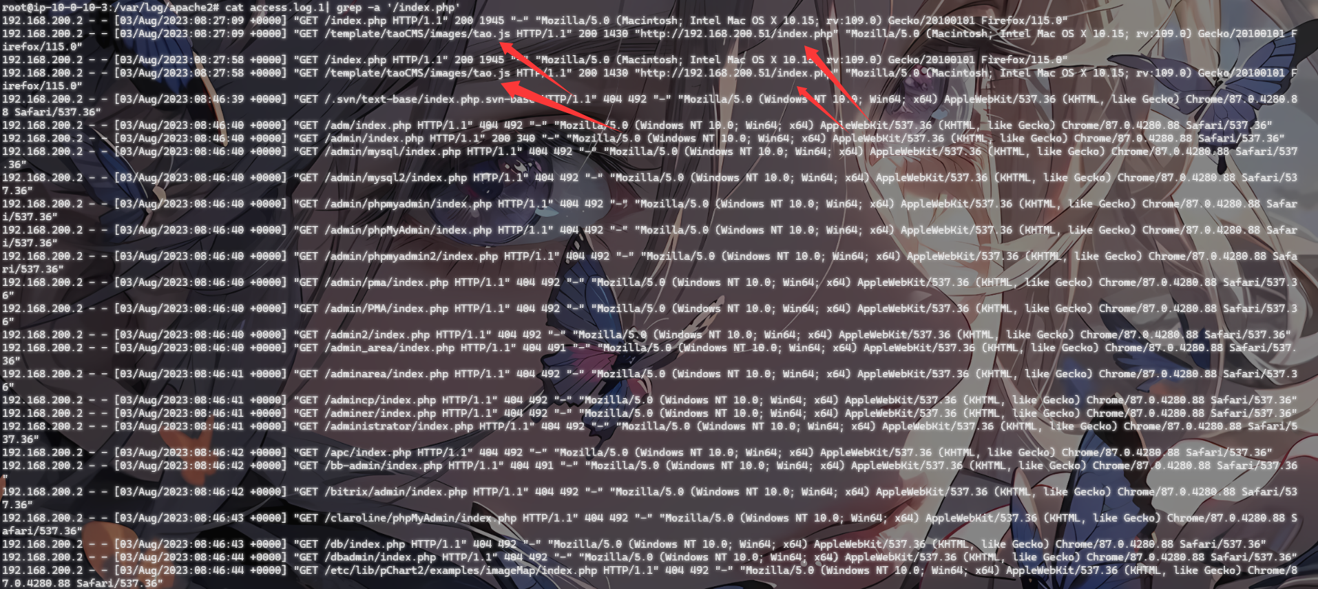 image-20250421165214789