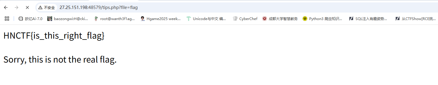 image-20250607130228914