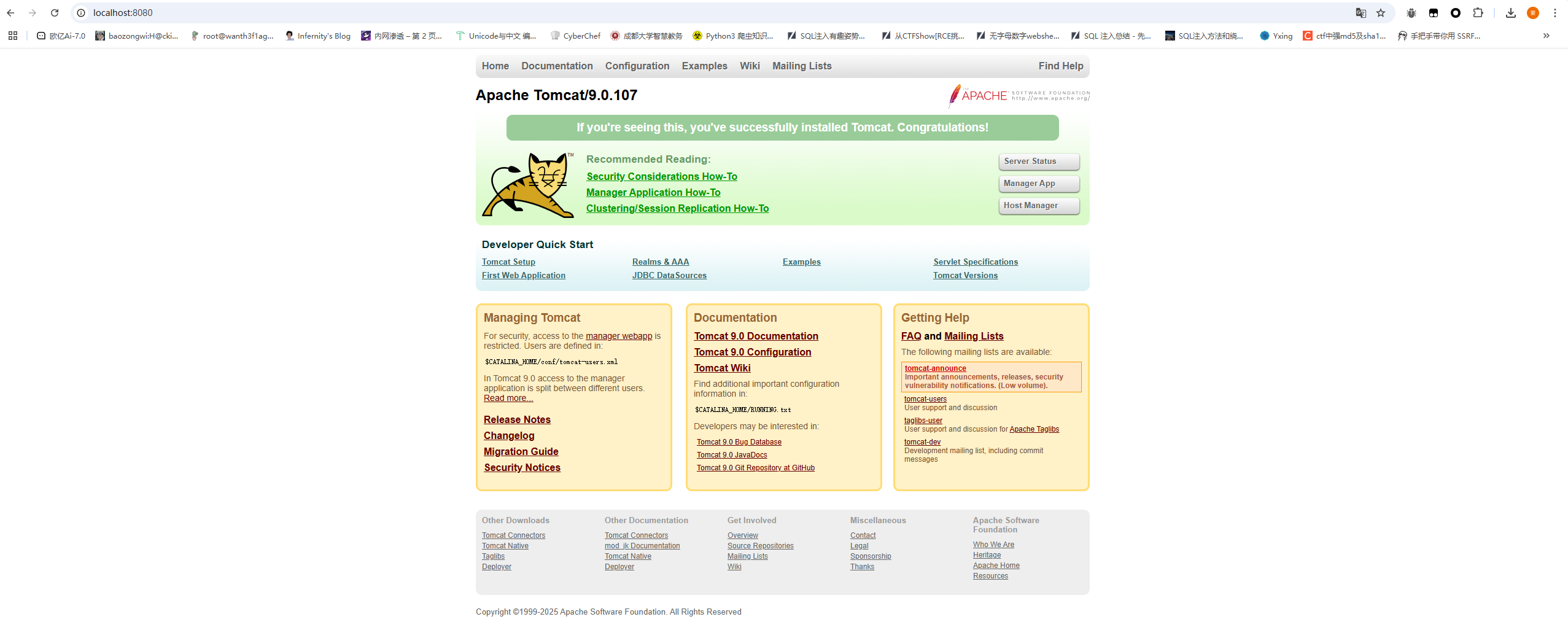 image-20250731163646275