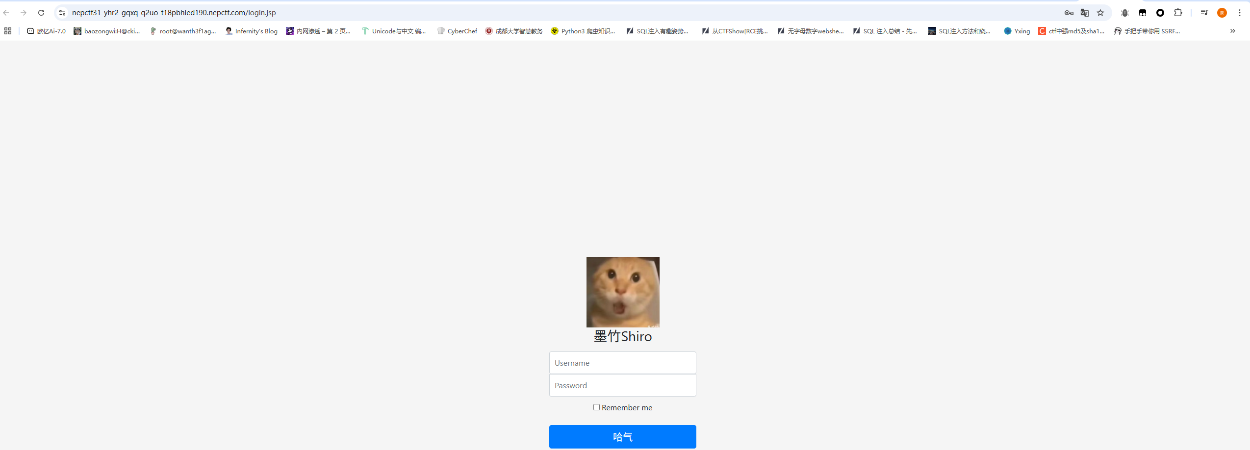 image-20250729105943641