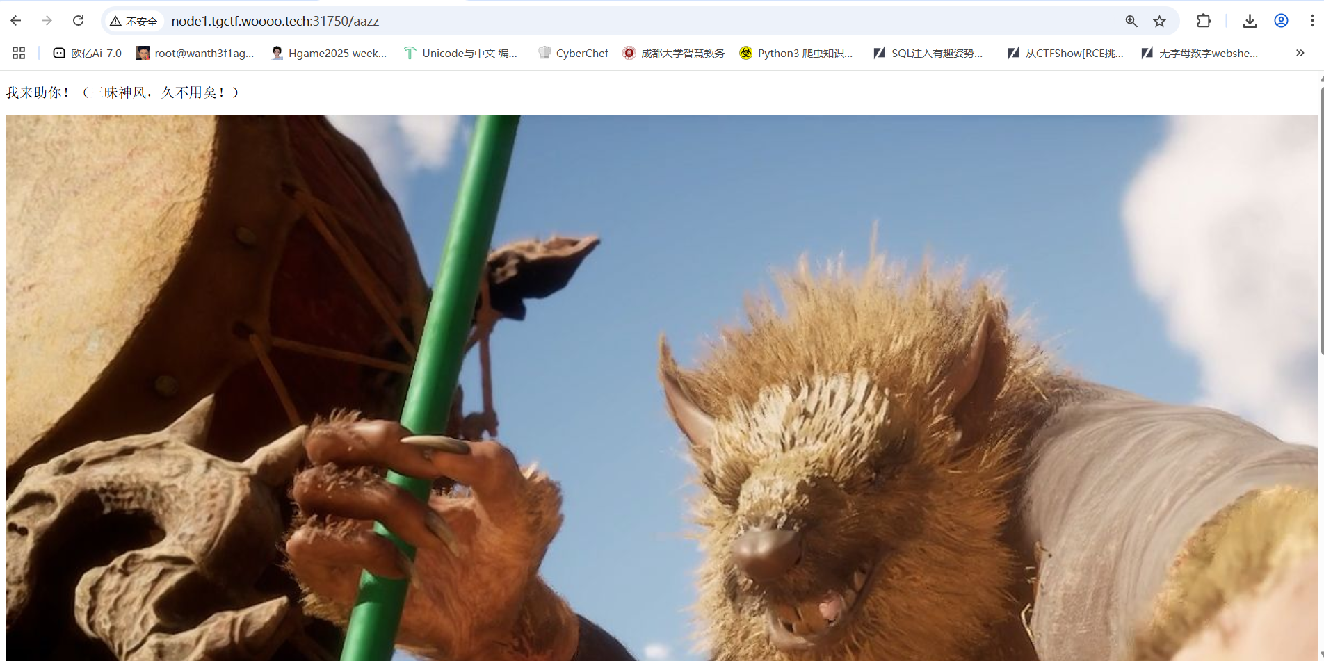 image-20250412105936424