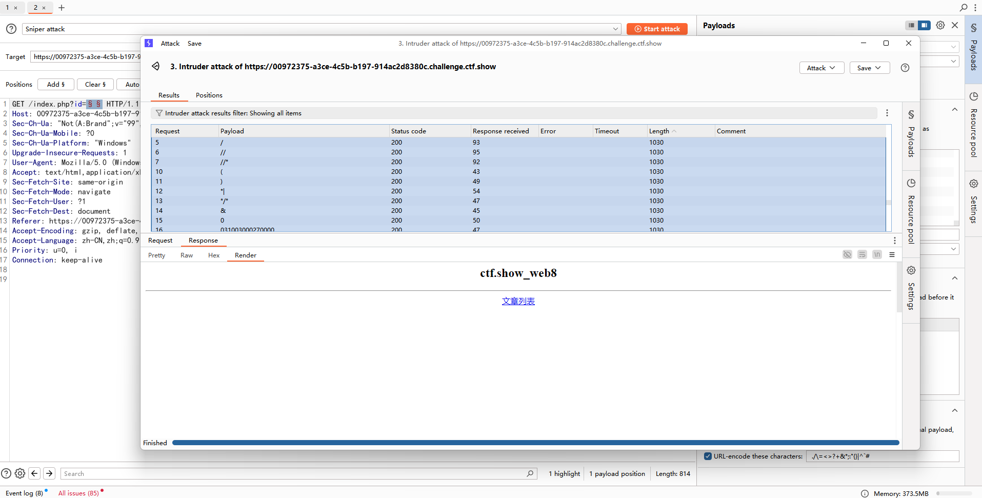 image-20250308204915981