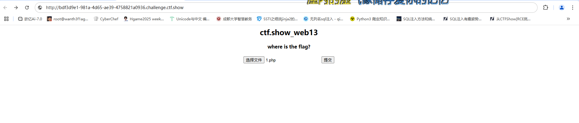 image-20250308221344911