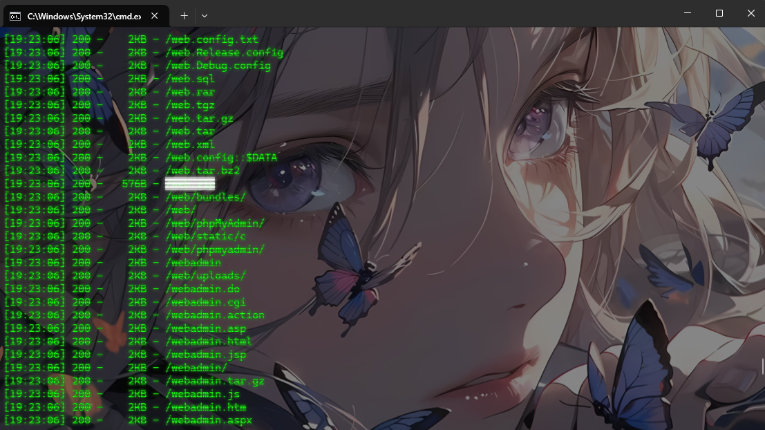 image-20250310192755074