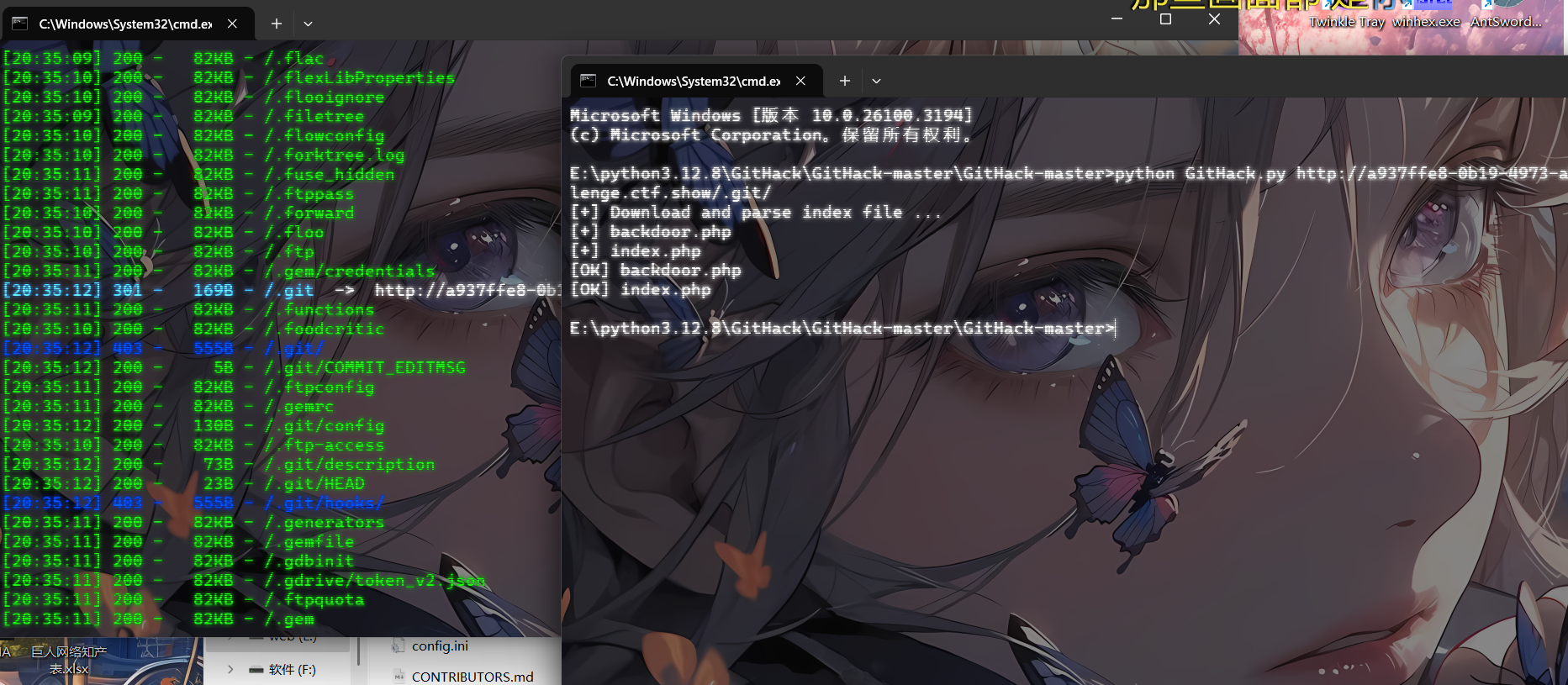 image-20250310204707338