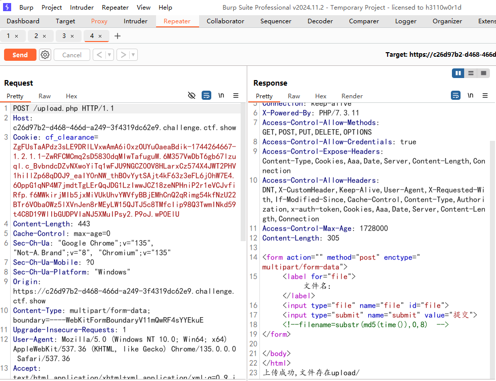 image-20250411131005912